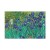 Obraz - Vincent van Gogh – Irysy