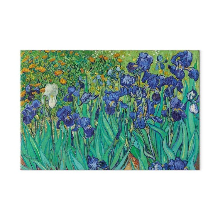 Obraz - Vincent van Gogh – Irysy