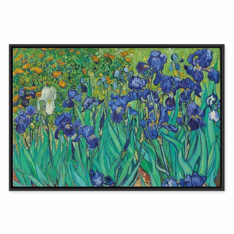 Obraz - Vincent van Gogh – Irysy