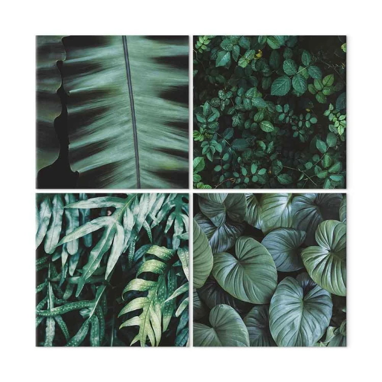 Obraz - Botaniczna głębia (4-częściowy)