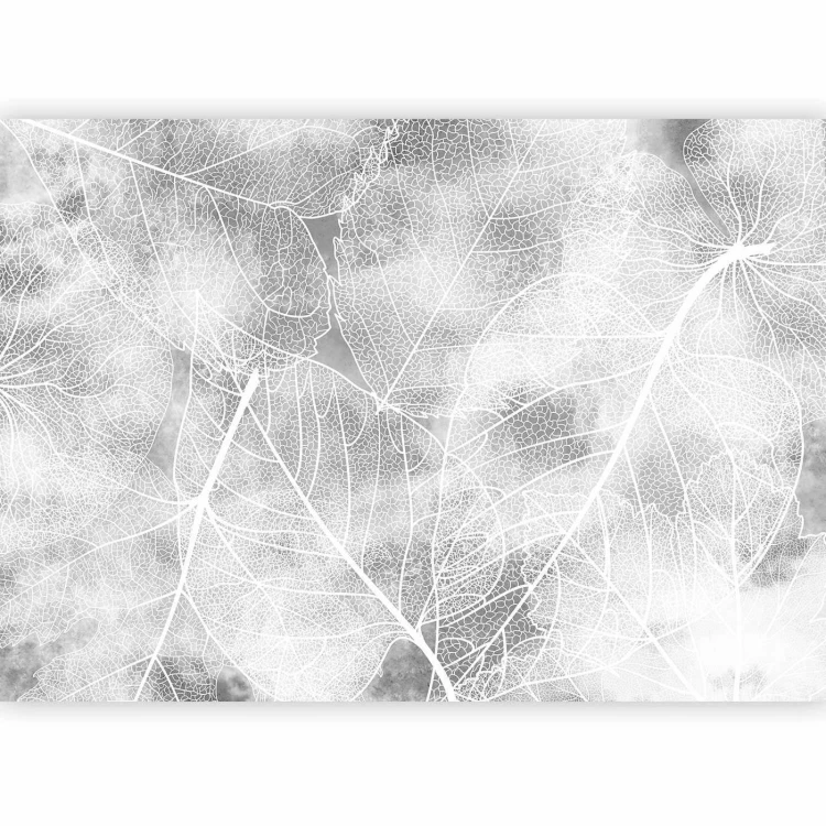Fototapeta - Natura w moim domu - trzeci wariant