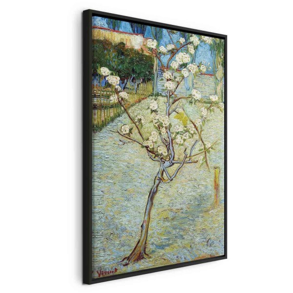 Obraz - Vincent van Gogh – Kwitnąca grusza