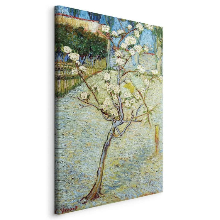 Obraz - Vincent van Gogh – Kwitnąca grusza