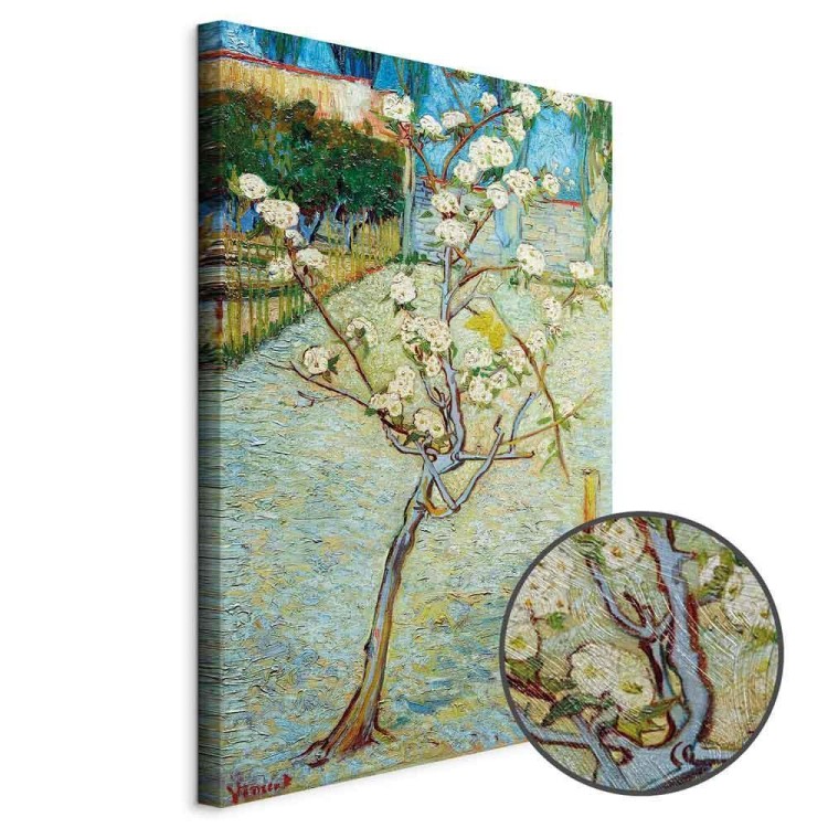 Obraz - Vincent van Gogh – Kwitnąca grusza