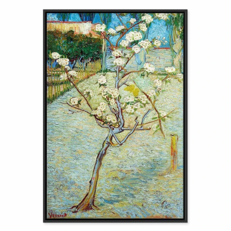 Obraz - Vincent van Gogh – Kwitnąca grusza