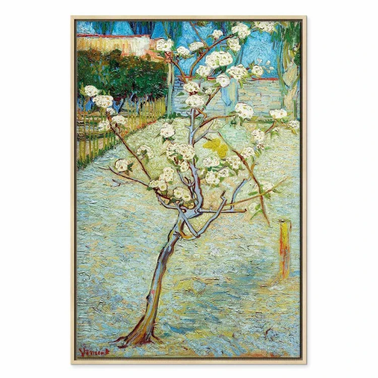 Obraz - Vincent van Gogh – Kwitnąca grusza