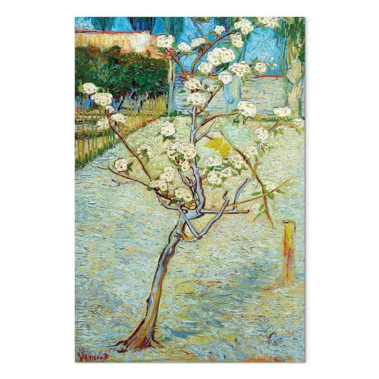 Obraz - Vincent van Gogh – Kwitnąca grusza