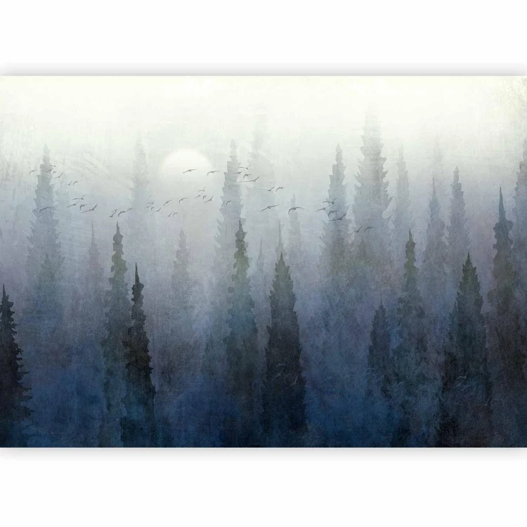 Fototapeta - Przelot nad lasem - drugi wariant