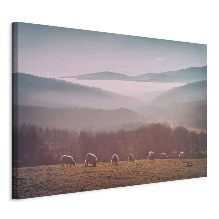 Obraz - Owce na tle górskiego krajobrazu (1-częściowy) - zwierzęta w naturze