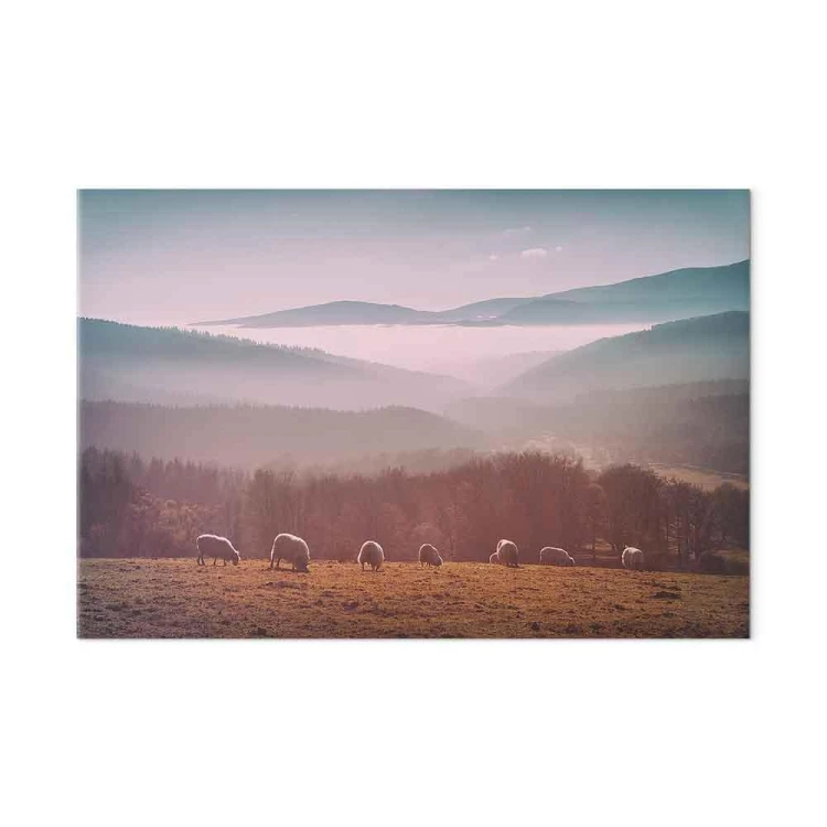 Obraz - Owce na tle górskiego krajobrazu (1-częściowy) - zwierzęta w naturze