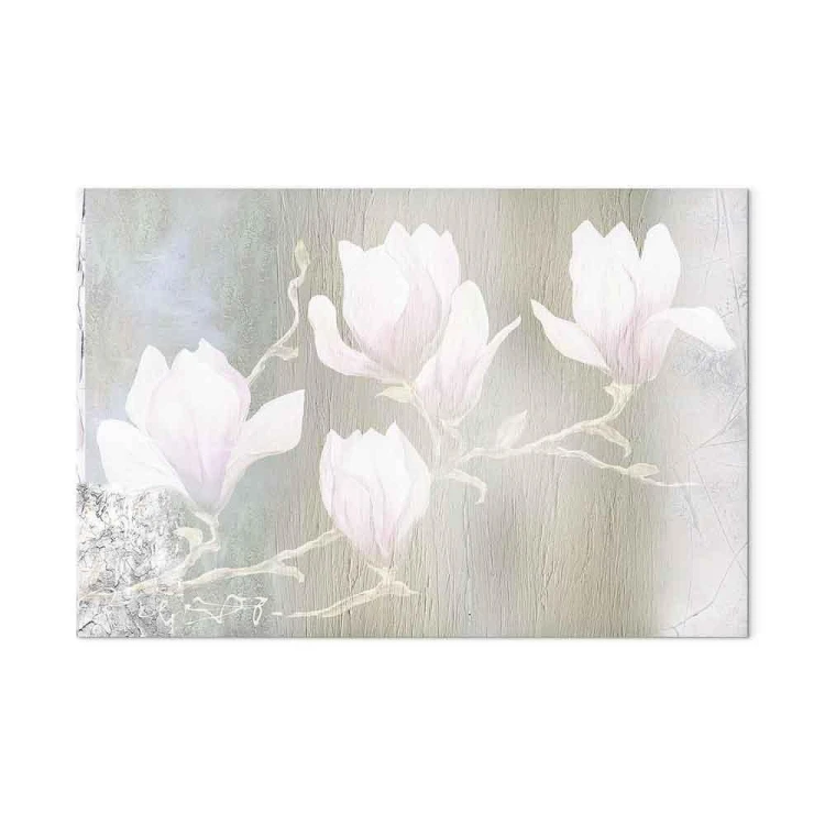 Obraz - Białe magnolie (1-częściowy) szeroki