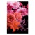 Obraz - Wiosenna bryza (1-częściowy) pionowy