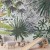 Fototapeta - Flora Madagaskaru - krajobraz tropikalny z akwarelowymi zwierzętami