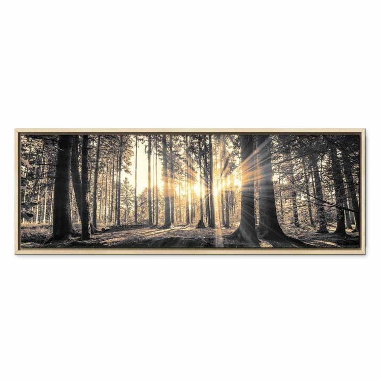Obraz - Leśne słońce