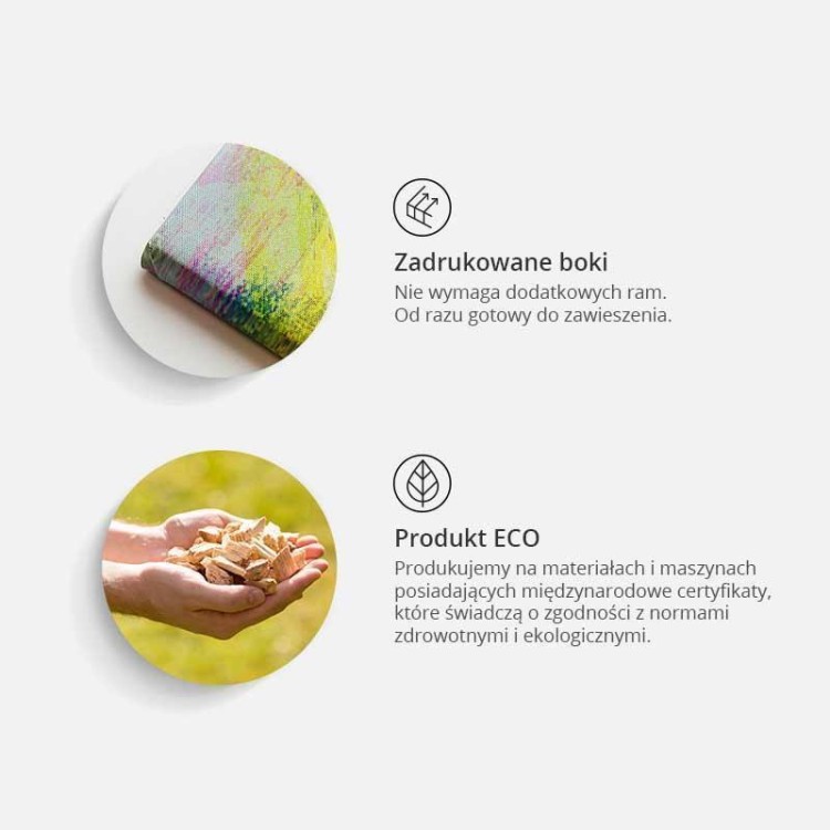 Obraz na korku - Stolica Danii [Mapa korkowa]