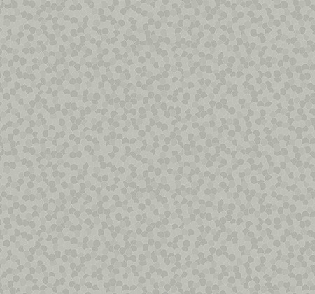 bw21702.jpg