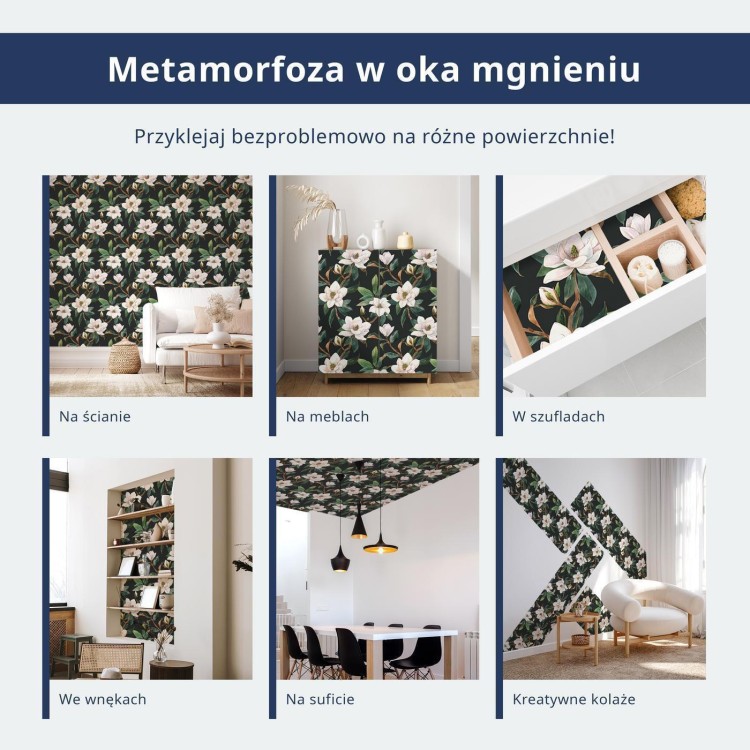 Tapeta - Motyle i beton