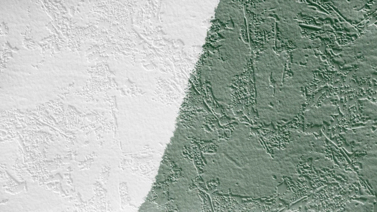 846f81602e075954d99455ea9975b546