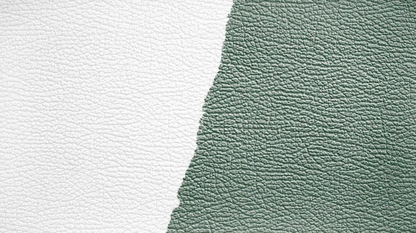 9a18ce390e232b754980d06d4fca7879