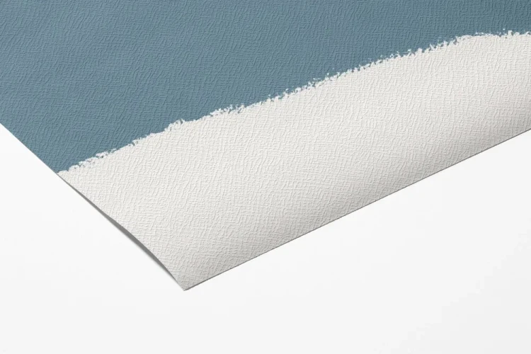 9a29c49a7e4904bcc6694cc839c935cf