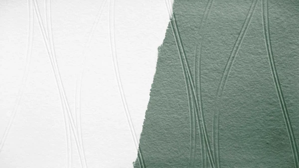 a2ab5f474bcea426a5c4db5abe6de1b5