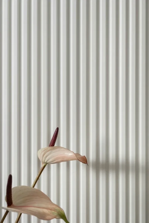 fe08a4d7f6104db052f95ef6af29f8d4