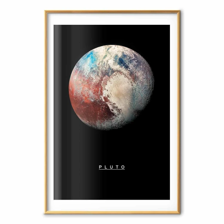 Plakat - Pluton