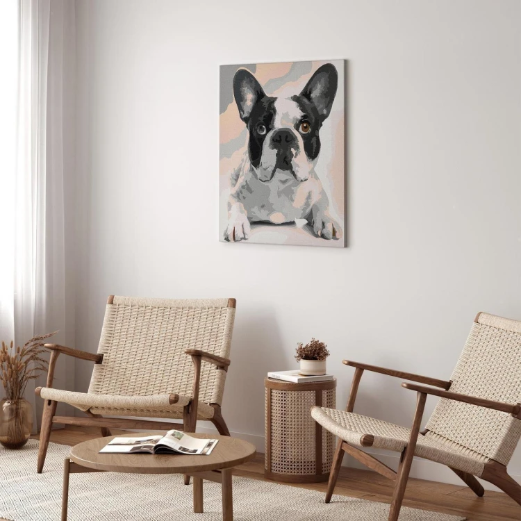 Obraz do samodzielnego malowania - Buldog francuski