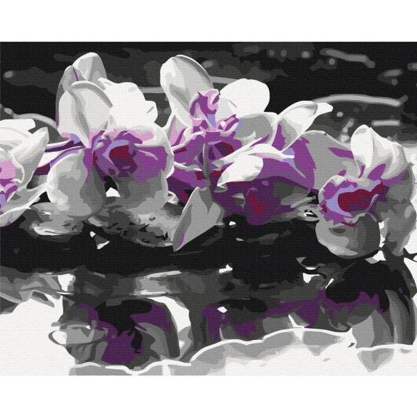 Obraz do samodzielnego malowania - Fioletowa orchidea (czarne tło i odbicie w wodzie)
