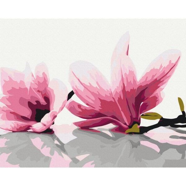 Obraz do samodzielnego malowania - Magnolia (białe tło)