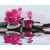 Obraz do samodzielnego malowania - Orchidea i kamienie zen w lustrze wody