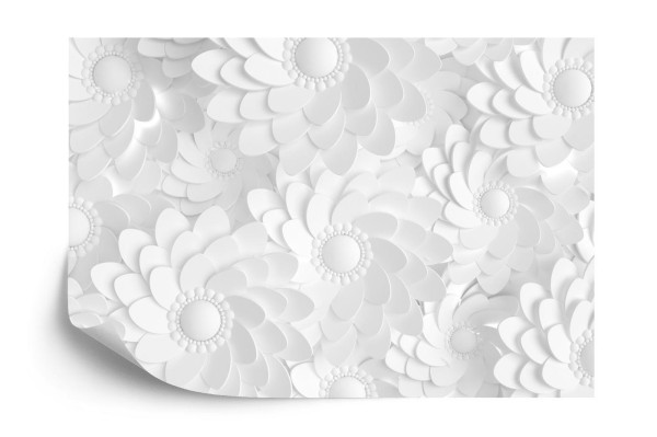 Fototapeta Beautiful  Elegant Paper Flower In The Style Of Hand-Made On A White Wall. 3D