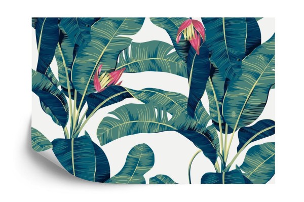 Fototapeta Botanical Seamless Pattern  Hand Drawn Banana Tree On Bright Grey