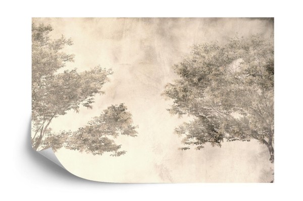 Fototapeta Tropical Trees And Leaves For Digital Printing Wallpaper  Custom Design Wallpaper - 3D