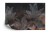 Fototapeta Tropical Trees And Leaves For Digital Printing Wallpaper  Custom Design Wallpaper - 3D
