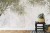 Fototapeta Tropical Trees And Leaves For Digital Printing Wallpaper  Custom Design Wallpaper - 3D