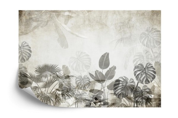 Fototapeta Tropical Trees And Leaves For Digital Printing Wallpaper  Custom Design Wallpaper - 3D