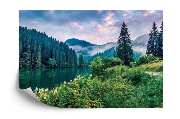 Fototapeta Dramatic Morning Scene Of Lacu Rosu Lake. Misty Summer Sunrise In Harghita County  Romania  Europe. Beauty Of Nature Concept Background.