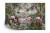 Fototapeta Wallpaper Jungle And Tropical Forest Banana Palm And Tropical Birds  Old Drawing