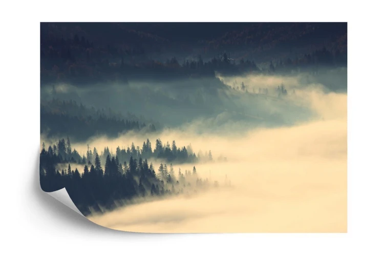 Fototapeta Amazing Autumn Sunrise Image In Mountains  Autumn Morning Dawn  Nature Colorful Background  Carpathians Mountains  Ukraine  Europe