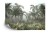 Fototapeta Tropical Trees And Leaves For Digital Printing Wallpaper  Custom Design Wallpaper - 3D