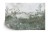 Fototapeta Tropical Trees And Leaves For Digital Printing Wallpaper  Custom Design Wallpaper - 3D