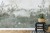 Fototapeta Tropical Trees And Leaves For Digital Printing Wallpaper  Custom Design Wallpaper - 3D