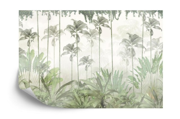 Fototapeta Tropical Trees And Leaves For Digital Printing Wallpaper  Custom Design Wallpaper - 3D
