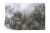 Fototapeta Tropical Trees And Leaves For Digital Printing Wallpaper  Custom Design Wallpaper - 3D