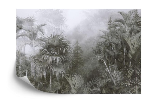 Fototapeta Tropical Trees And Leaves For Digital Printing Wallpaper  Custom Design Wallpaper - 3D