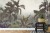 Fototapeta Tropical Trees And Leaves For Digital Printing Wallpaper  Custom Design Wallpaper - 3D