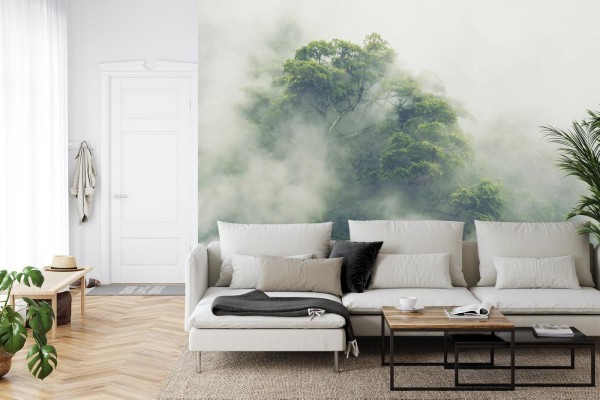 Fototapeta Tropical Forest In Japan  Nature Jungle With Green Tree And Fog  Concept Of Zin Therapy Comfortable Freedom Relaxing For Spa And Yoga  Eco Natural Sustainable Conservation