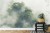 Fototapeta Tropical Forest In Japan  Nature Jungle With Green Tree And Fog  Concept Of Zin Therapy Comfortable Freedom Relaxing For Spa And Yoga  Eco Natural Sustainable Conservation
