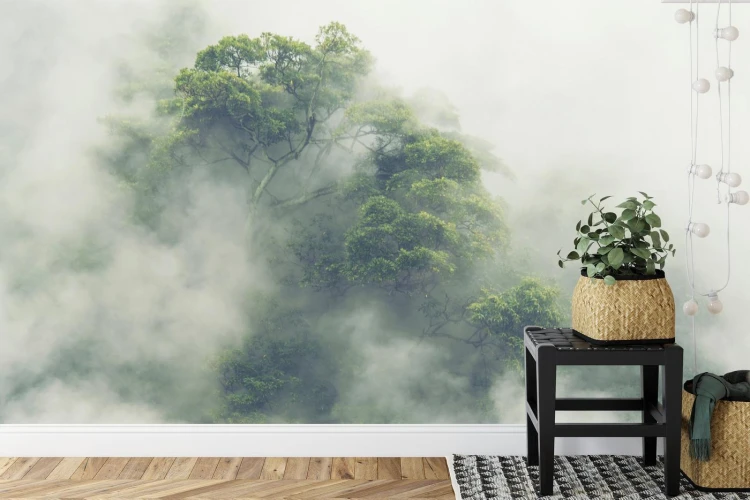 Fototapeta Tropical Forest In Japan  Nature Jungle With Green Tree And Fog  Concept Of Zin Therapy Comfortable Freedom Relaxing For Spa And Yoga  Eco Natural Sustainable Conservation